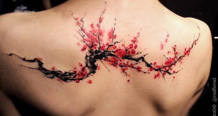 Japanse tatoeages, vrouw met gekleurde tatoeage op de rug, tak met rode kersenbloesems