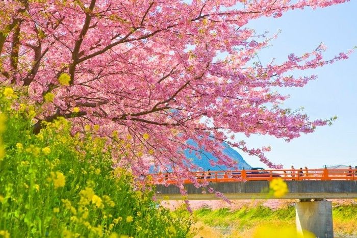En iyi seyahat süresi Japonya-over-the-Köprü