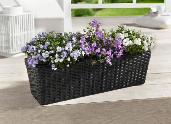 Çiçek kutusu-için-balkon-mor