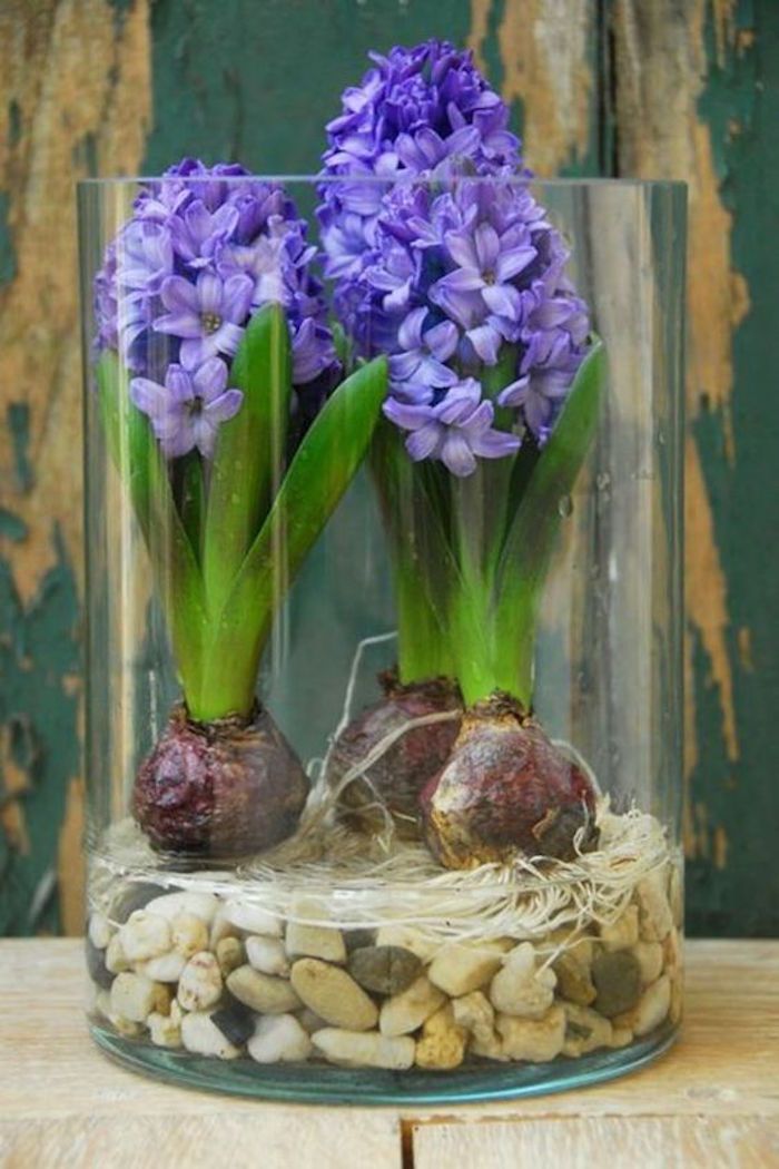 Becuri de flori în sticlă cu pietre decorative, zambile