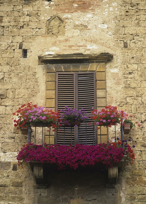 Zábradlie-by-one-balkón pokryté-s-kvetmi