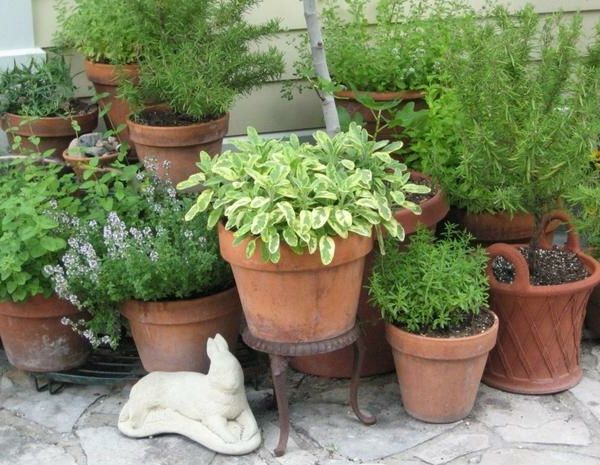 Herb Garden as-esthetische Hinsch behalve