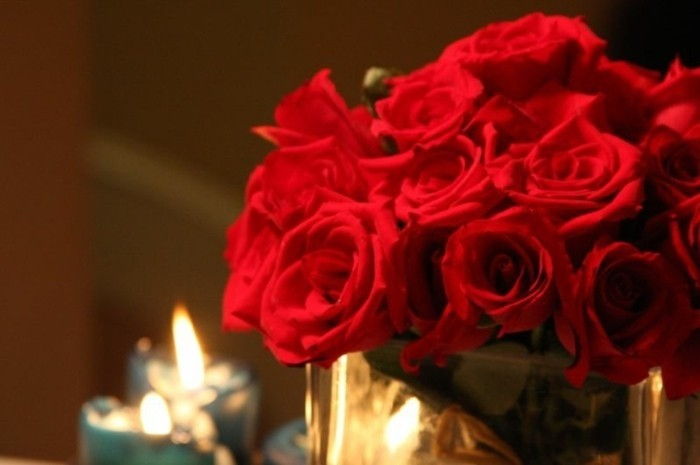 Roser strudse-lyse-rød-og-lys