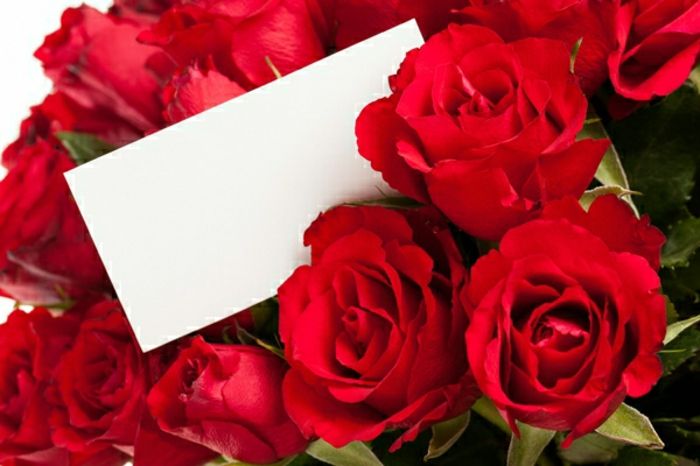 Roses-send-valentine-bilder