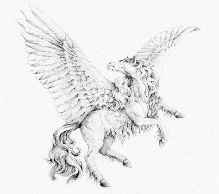 Krásne kresby ceruzkou-Pegasus