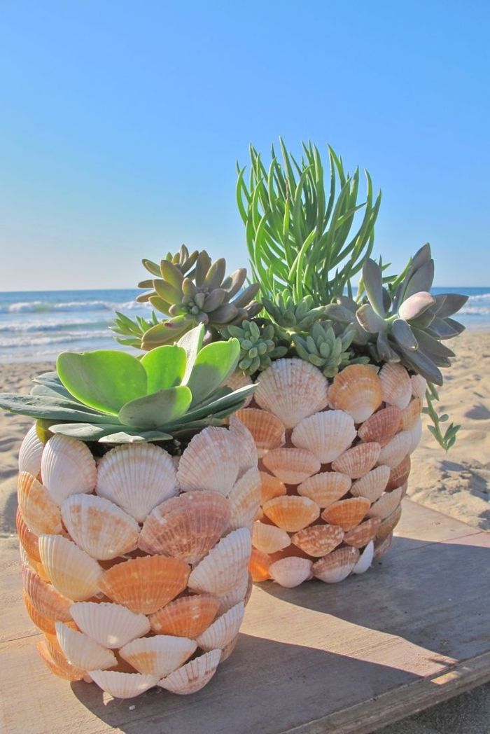 Lončnice lupine dekoracija plaža morje, pesek, poletje