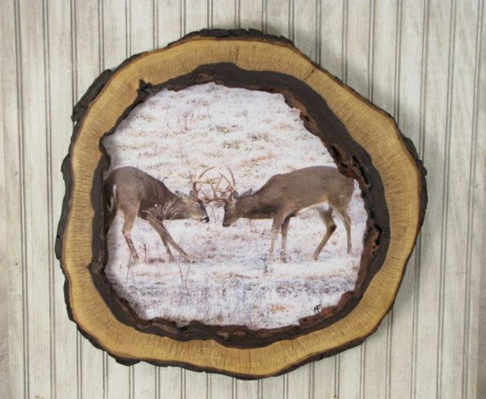 Driftwood Walnut Tree okvirja jelen foto