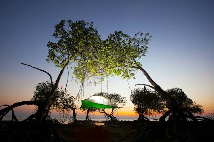 kvällsljus-and-a-träd tält-on-shore