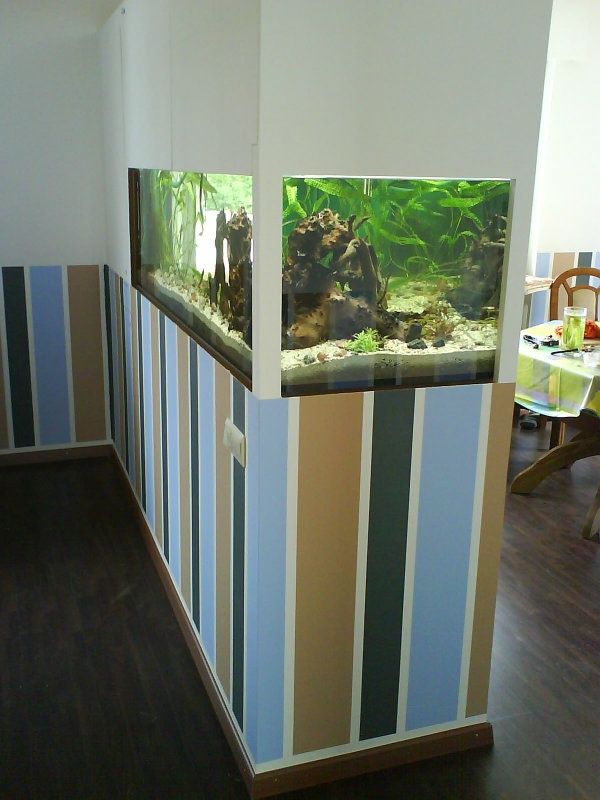 akvariumrumsdelare-en-vägg-på-remsa - bredvid matsalen