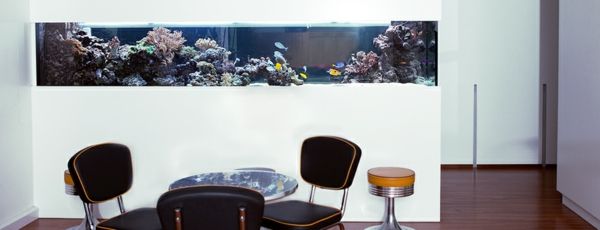 akvarietrumsdelare bakom matbordet - vit väggdesign
