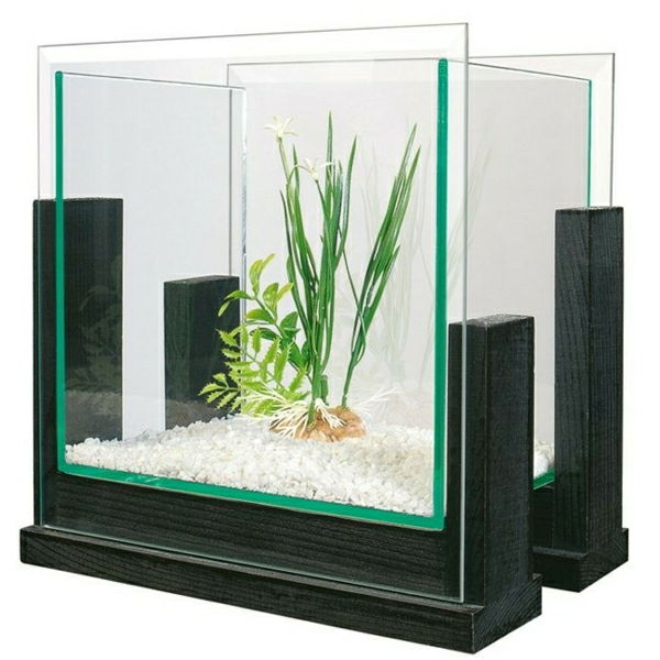 akvarium rumsdelare liten och modern - vit bakgrund