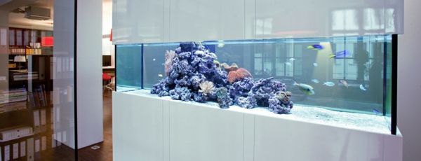 akvarium-rumsavdelare moderna utformad-in-white-färg