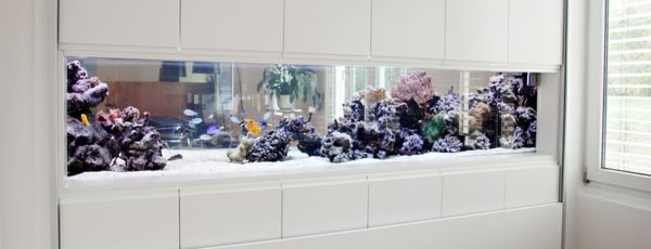 akvarietrumsdelare vit design - se fin ut