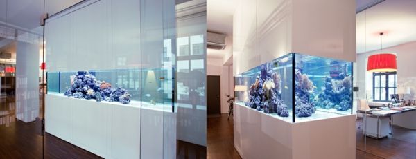 akvariumrumsdelare två bilder - väldigt intressant utseende