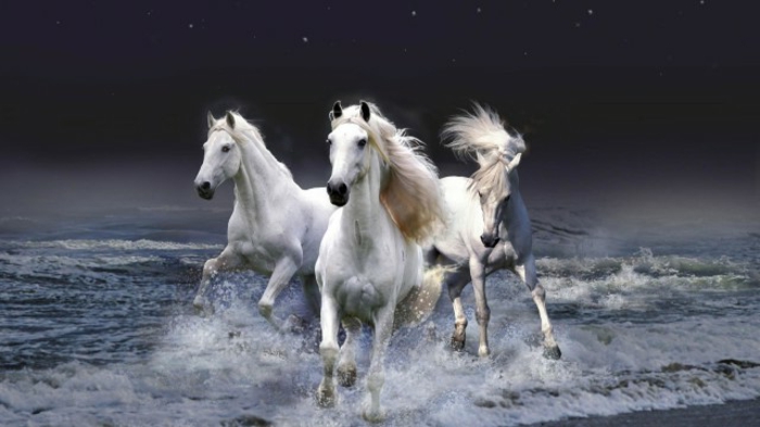 artis skjematisk-image-veldig-fint-horse-hvitt og rasende i-vann-
