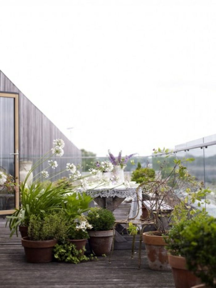 bepflanzung- takterrass-glas och trä