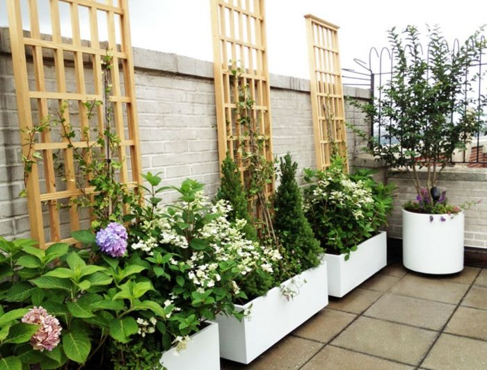 bepflanzung- takterrass och balkong-