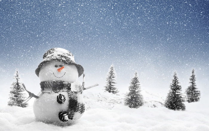 immagine invernale divertente - un pupazzo di neve con sciarpa e cappello e un naso arancione e occhi neri - quattro alberi e fiocchi di neve e bianchi