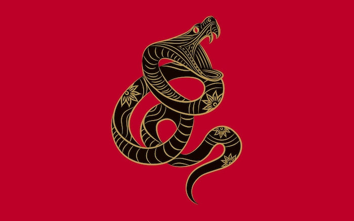 svart orm, ormsteckning, guldfärg, orm orm