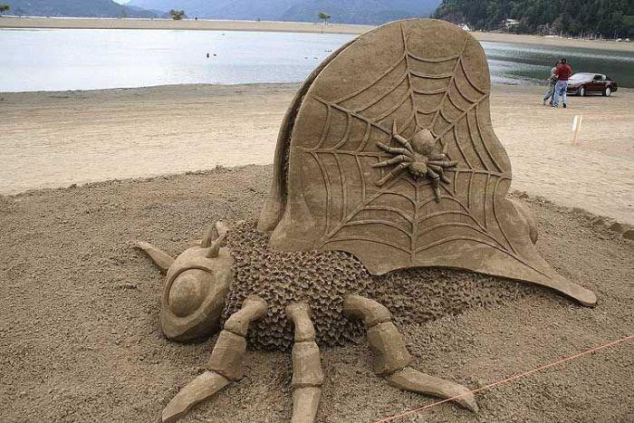 fresco di sabbia scultura Spider-on-suo-net