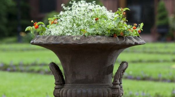 chladný-idea-for-plantážnici-the-záhradné-krásny pôsobiace