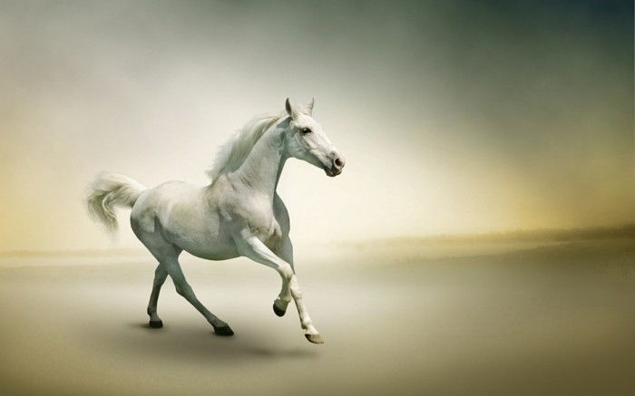 the-mest-horse-the-world-hvitt-hest-gal kunstnerisk-image