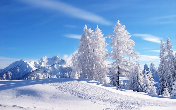 bella immagine invernale con un cielo blu con nuvole bianche e una foresta con alberi bianchi Miz neve