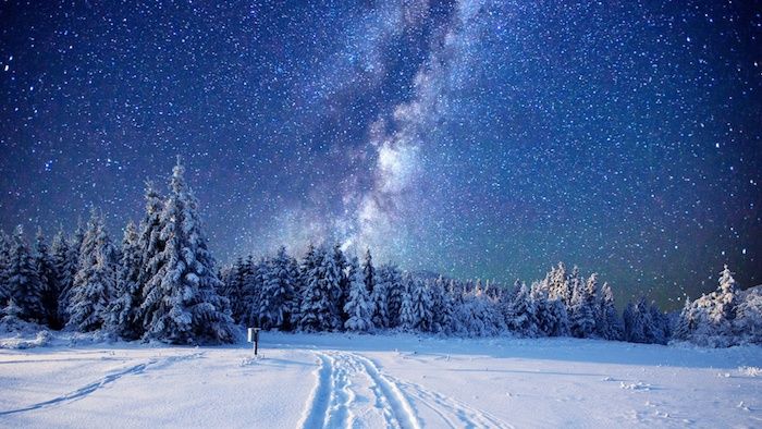 cielo blu con stelle bianche - una foresta con molti alberi con la neve - immagini invernali romantiche