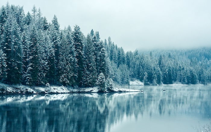 un lago blu con una foresta con molti alberi con neve