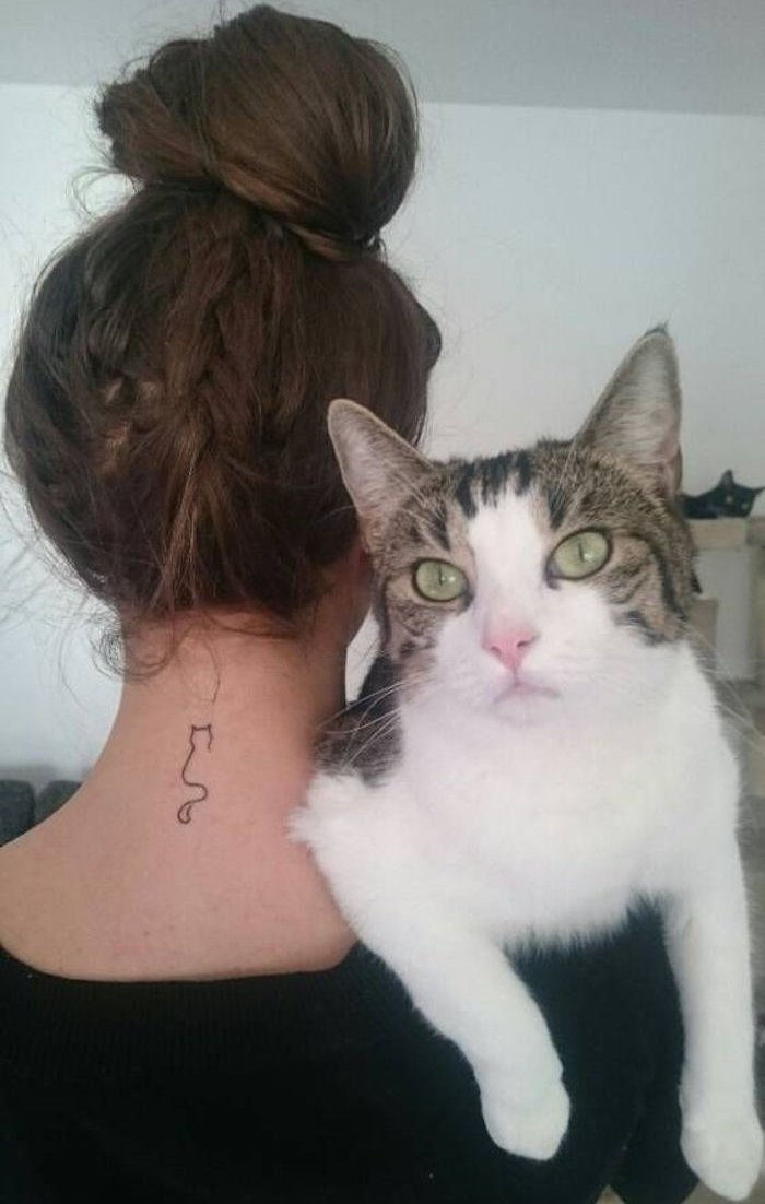 kolejny pomysł na tatuaż dla kotów - tu jest piękna, biała kotka o dużych dużych oczach i małym różowym nosie oraz tatuaż z kotami na szyi