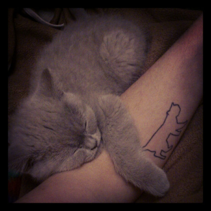 tatuaż małego kota - oto mały, uroczy, śpiący, szary kotek i ręka z małym czarnym tatuażem