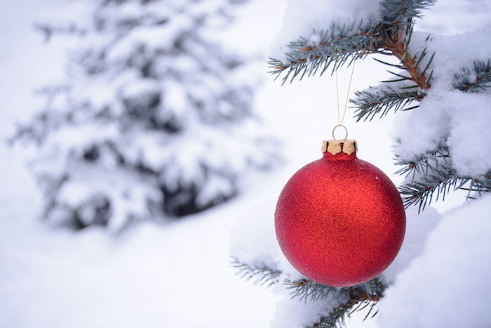 una palla di Natale rossa e un albero con la neve - immagini invernali romantiche