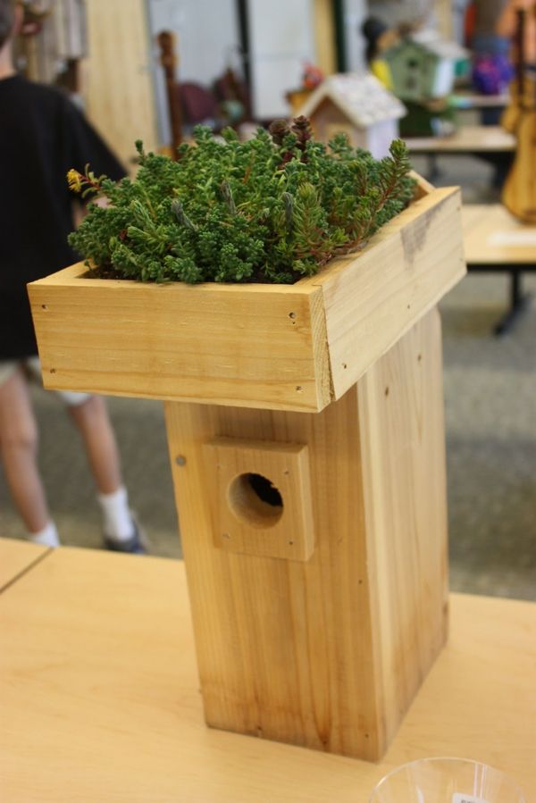eko-bird house-egen-build-plantering