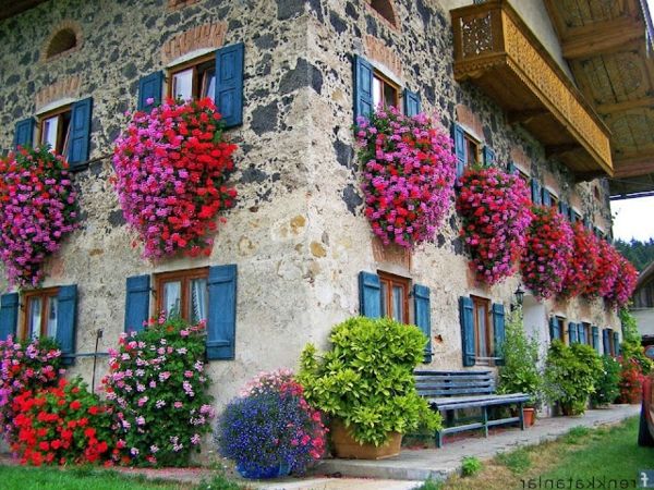 fantastik - çiçek kutuları-için balkon-Fensterdeko