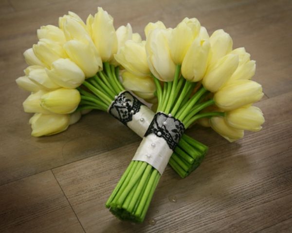 patrzeć przez francuskie tulipany-in-żółto-odcieni-glorious-