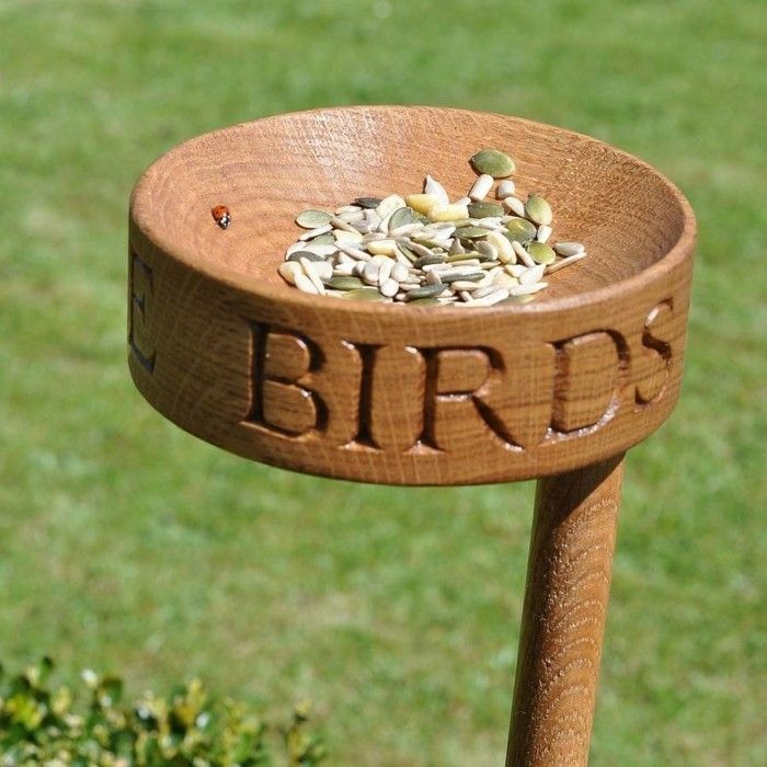 Nesting box in legno, semi e coccinella, progetti fai-da-te per il tuo giardino o balcone