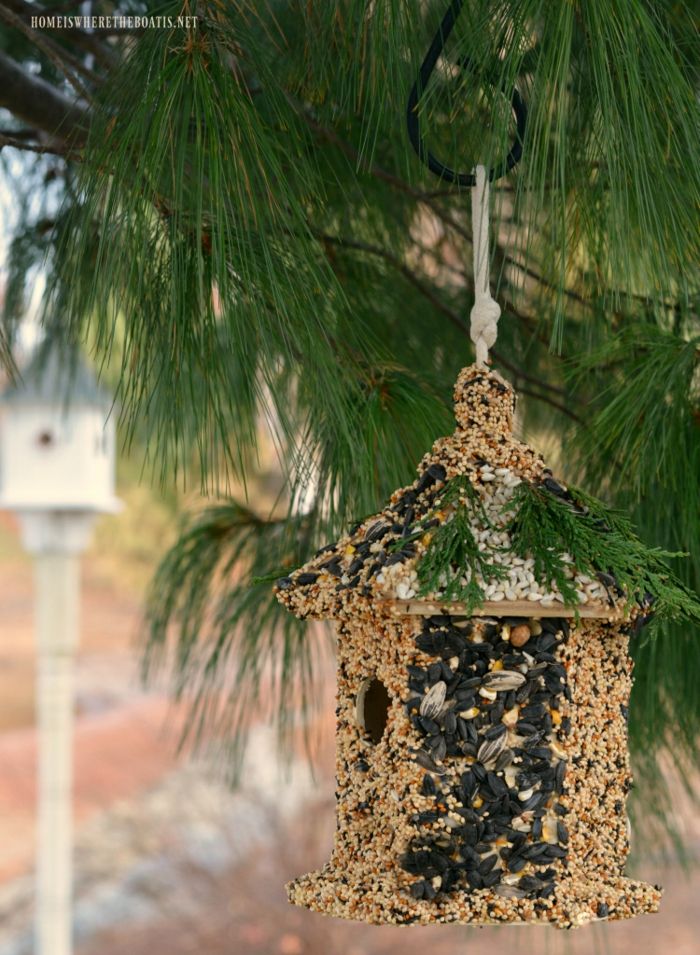 Colla scatola nido di legno con semi, semi di girasole e uvetta, decorare con rami di pino