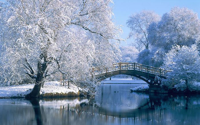 un giardino d'inverno con alberi bianchi con neve, fiume e un ponte - immagini romantiche invernali