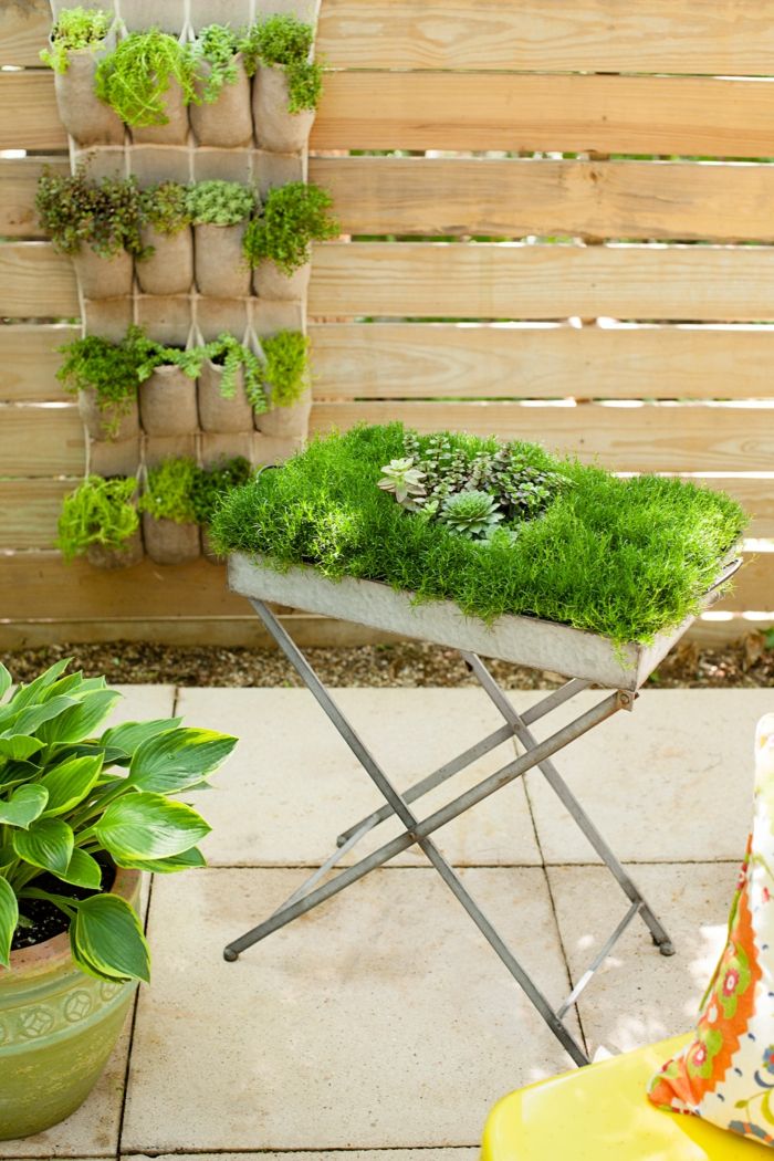 Moss obrázok a vertikálne záhrada - ľahko starostlivosť záhrady, ktoré si môžete navrhnúť sami