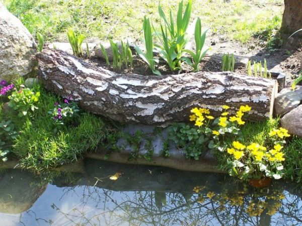 záhradné-deko-drevo-veľké-pobočky - v blízkosti rybníka