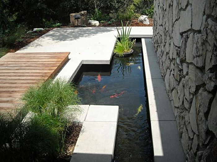rybník plný zlatých rýb plachtenie kvety - moderný záhradný dizajn