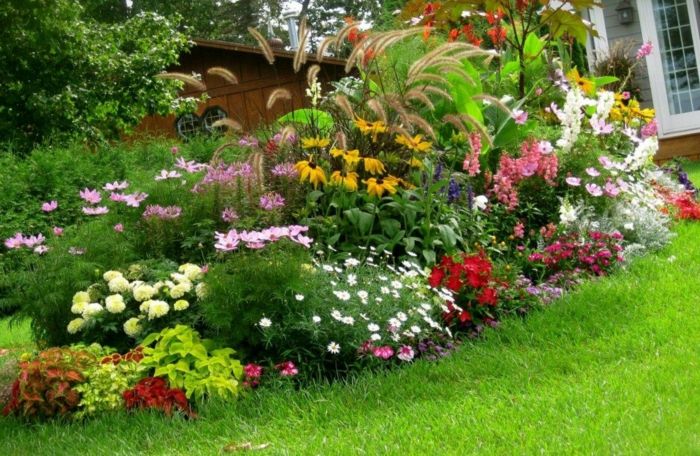 ľahká starostlivosť záhrada - ľahko starostlivá rastlinná odroda rôznych kvetov