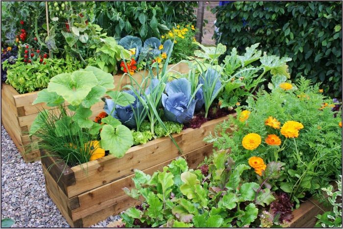 Návrh záhradných postelí - kvety a zelenina v posteli veselých farieb