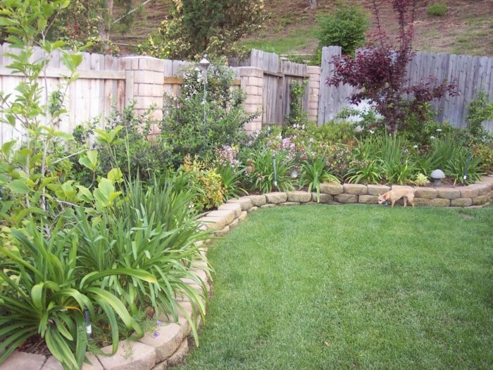 veľa zelených rastlín - ľahké záhradné rastliny - anglický trávnik
