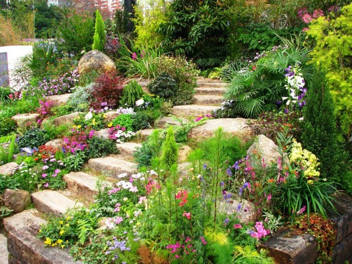jednoduché záhradné rastliny - pestré kvety a schody z kameňov