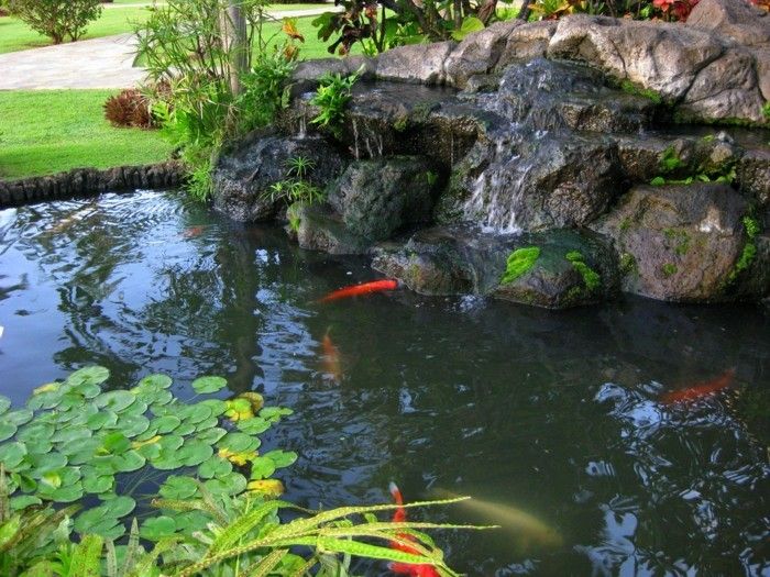 Gartenteich-Dodaj nowy pomysł-do stylu mini-ogród pond-