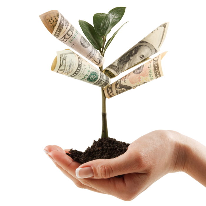 Padarykite pinigus iš medžio, sukurkite kūrybingas idėjas pinigų dovanoms, darykite dovanas greitai ir lengvai