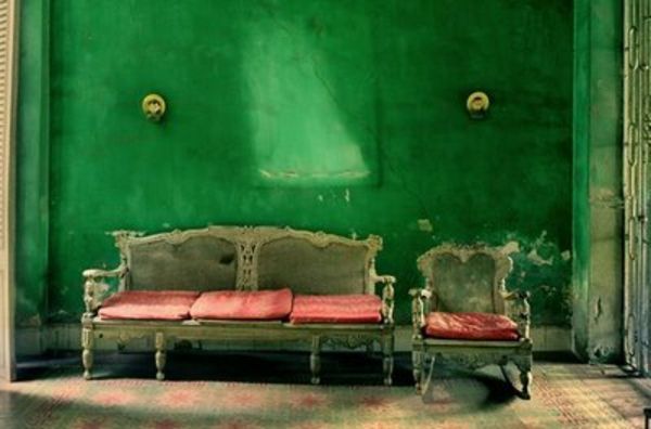 zelena stena v sobi - plemiška zasnova