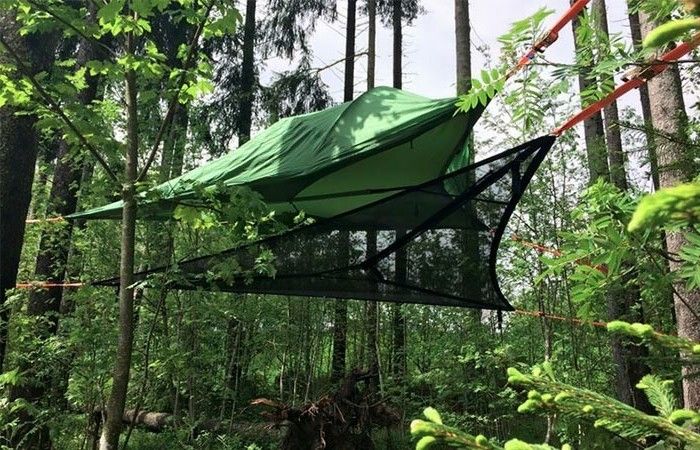 Grön-camping tält-grön-skog i