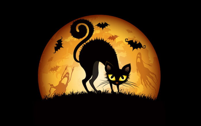 en svart katt med fullmåne i bakgrunden - Halloween bilder